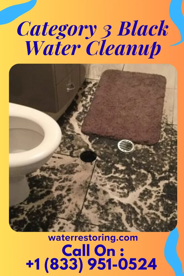 Category 3 Black Water Cleanup in Bluff City, TN