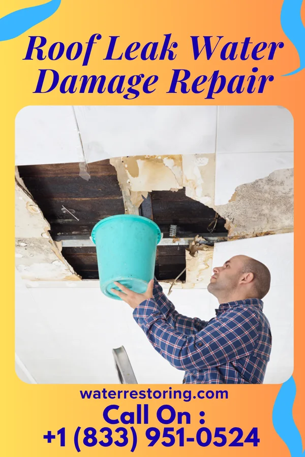 Roof Leak Water Damage Repair in Bluff City, TN